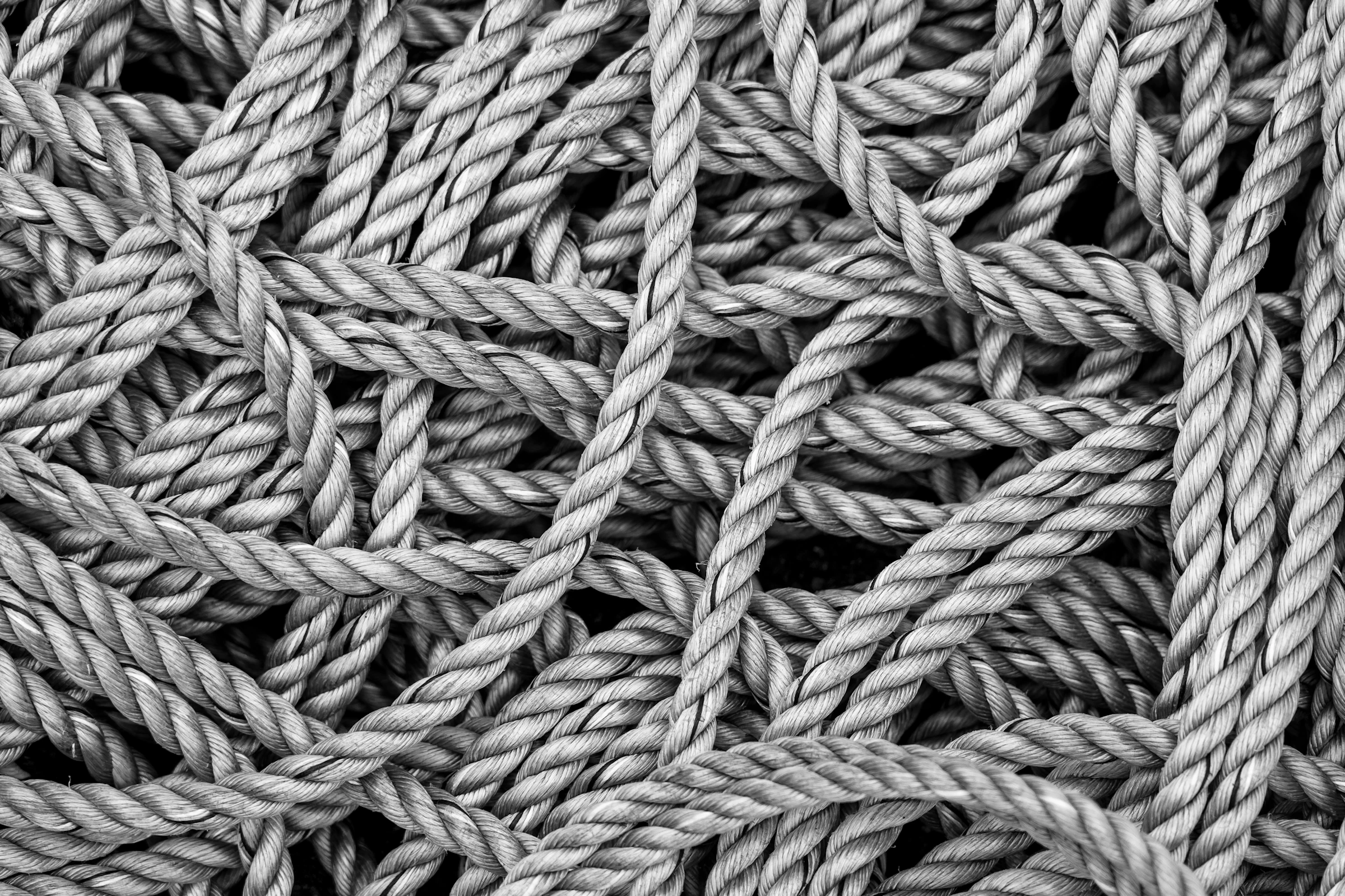 Feature image for String