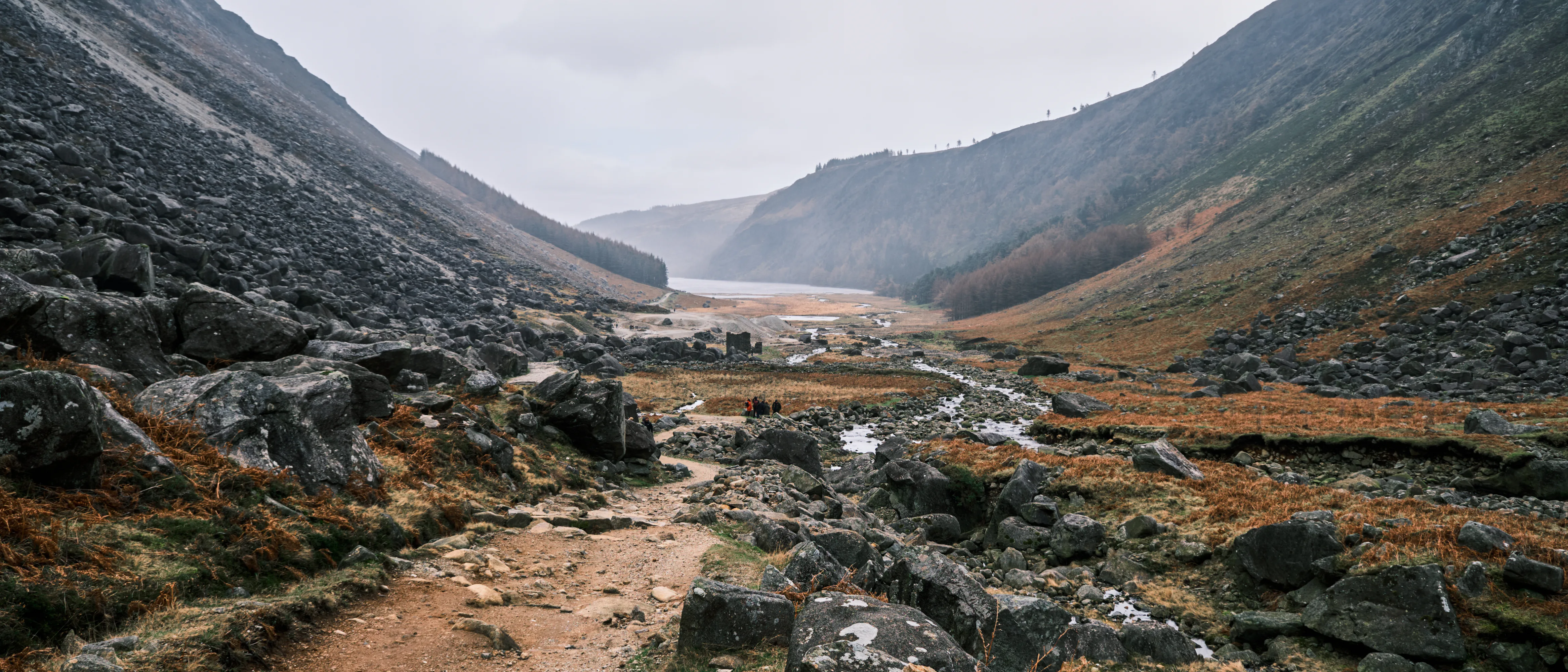 No.7
